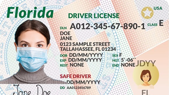 drivers license look up florida