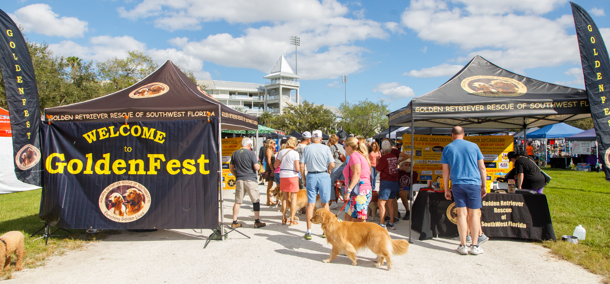 Calling All dogs: GoldenFest XV Coming Up at Hammond Stadium - East Lee ...
