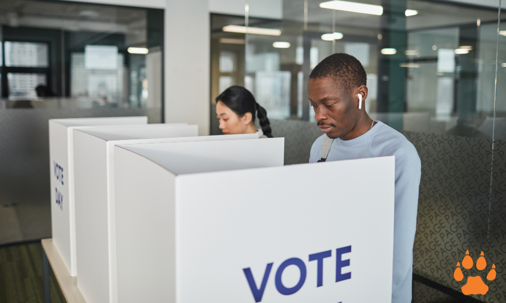 Position Voting Tickets The System Behind the Seat - East Lee News
